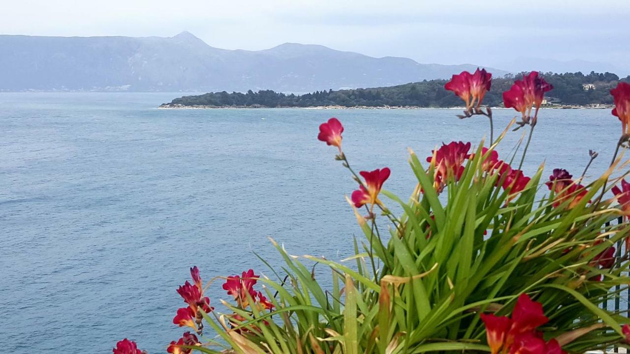Roof Garden House Apartment Corfu  ภายนอก รูปภาพ