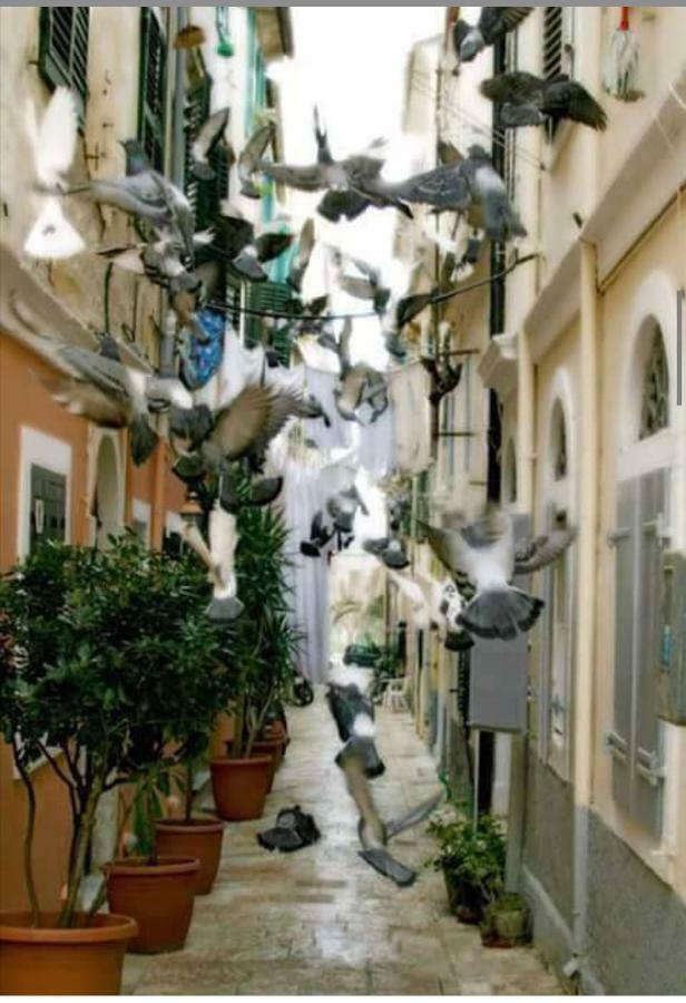 Roof Garden House Apartment Corfu  ภายนอก รูปภาพ